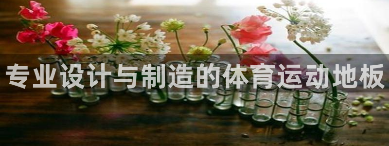 尊龙官方正版app集团:专业设计与制造的体育运动地板