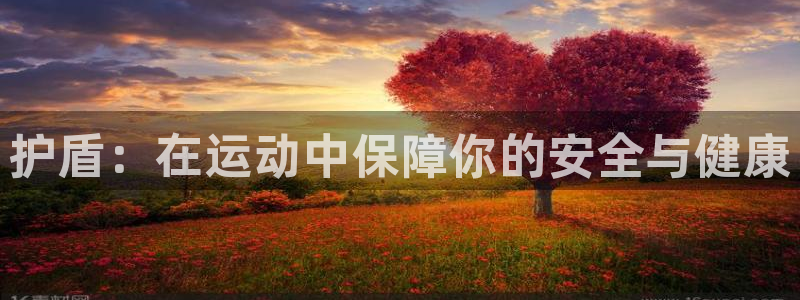 尊龙官方正版app娱乐代理怎么样:护盾:在运动中保障你的安全