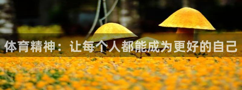 尊龙官方正版app新能源:体育精神:让每个人都能成为更好的自